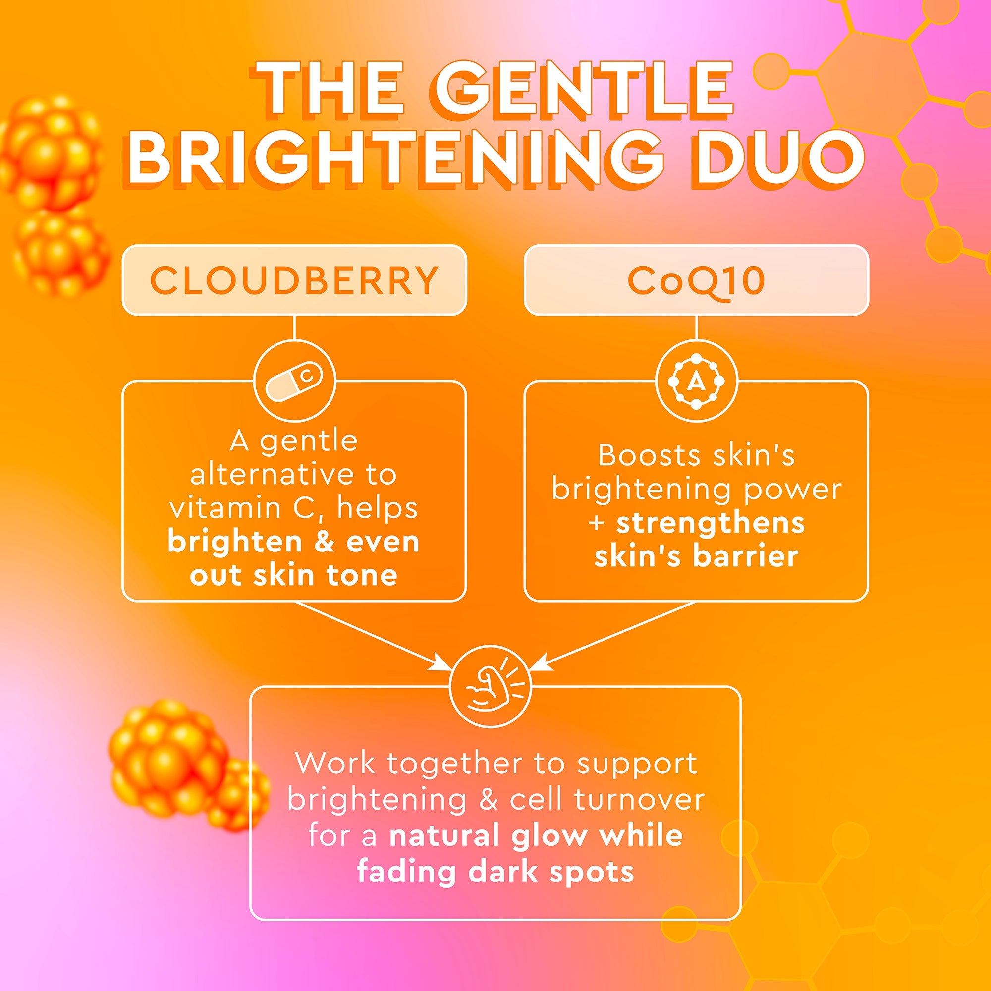 Ingredient spotlight infographic explaining how cloudberry and CoQ10 in this moisture cream brighten and even skin tone.
