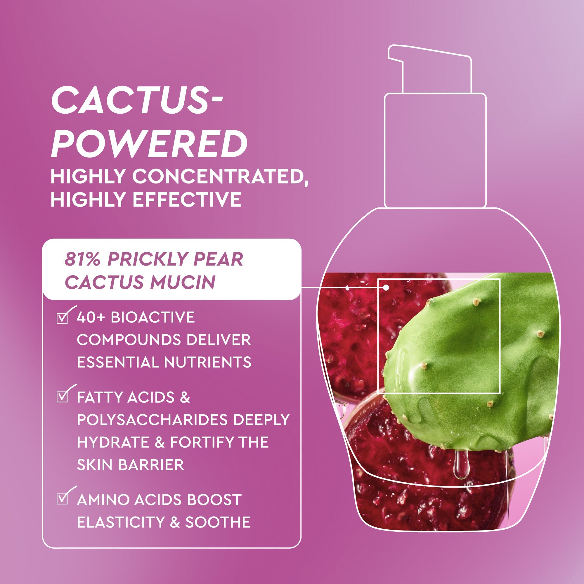 Glow Recipe Prickly Pear Peptide Mucin infographic spotlighting cactus extract as the formula's core power ingredient.
