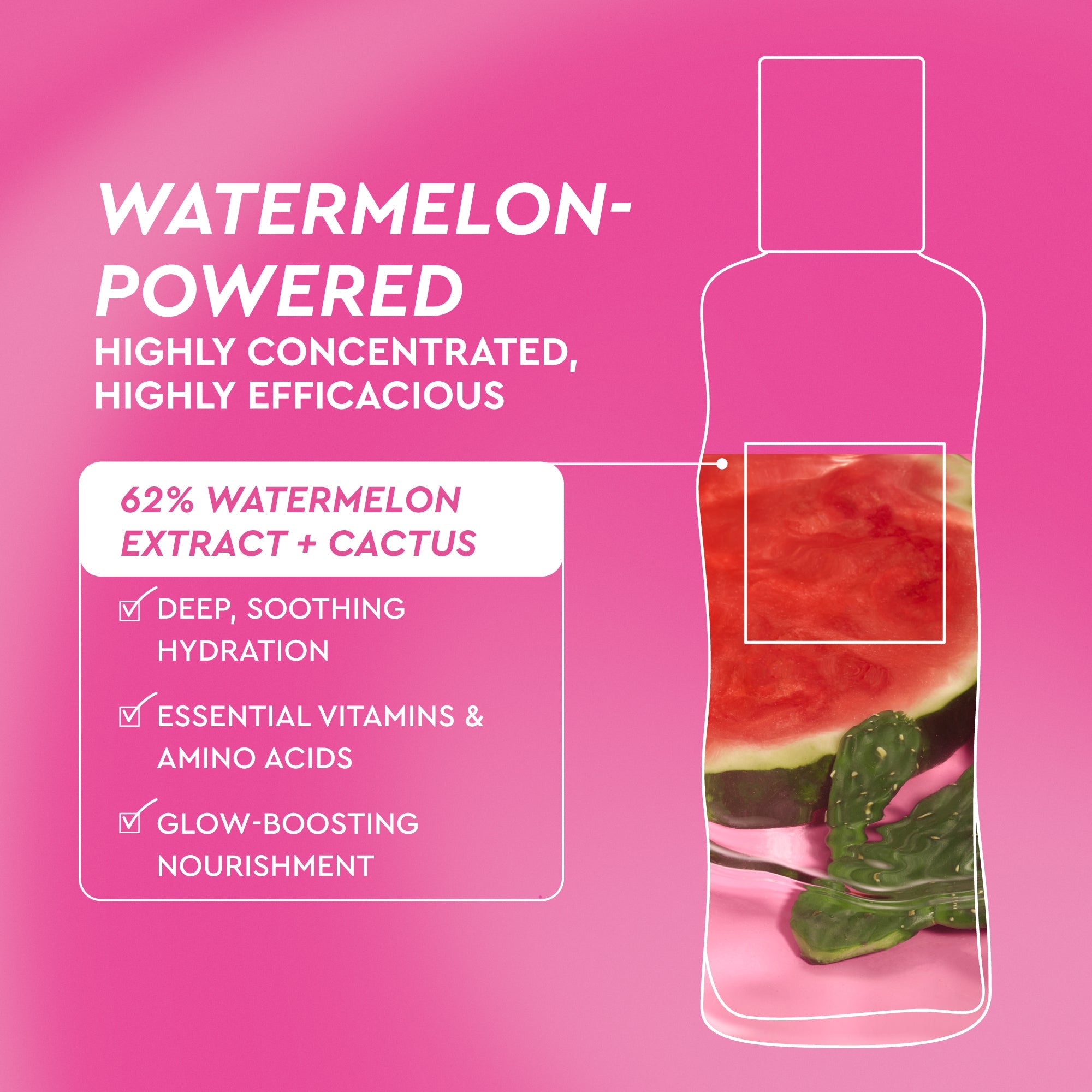 Product packaging with watermelon extract and cactus on a pink background